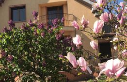 REDUCERE! Vilă deosebită 500 mp utili cu 1.400 mp teren, zona Ford