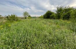 Parcela teren intravilan 800 mp, Pielesti