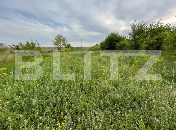 Teren de vânzare Nord-Est - 148687TV | BLITZ Craiova | Poza3