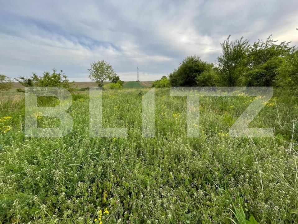 Teren de vânzare Nord-Est - 148687TV | BLITZ Craiova | Poza3