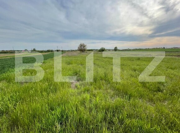 Teren de vânzare Periferie - 148688TV | BLITZ Craiova | Poza1