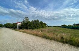 Teren intravilan 3100 mp, Cosoveni