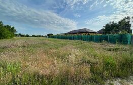 Teren intravilan 3100 mp, Cosoveni