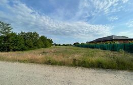 Teren intravilan 3100 mp, Cosoveni