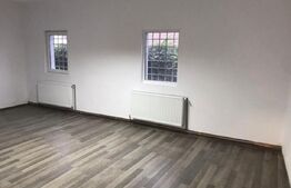 Casa decomandata, pretabila spatii de birouri, 335 mp ultili, zona Raului
