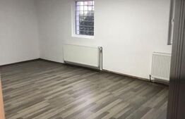 Casa decomandata, pretabila spatii de birouri, 335 mp ultili, zona Raului