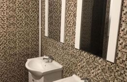 Casa decomandata, pretabila spatii de birouri, 335 mp ultili, zona Raului