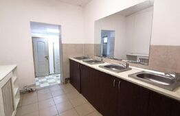 Casa decomandata, pretabila spatii de birouri, 335 mp ultili, zona Raului