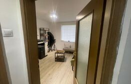 Spatiu comercial, 51 mp, zona Institut, Calea Bucuresti