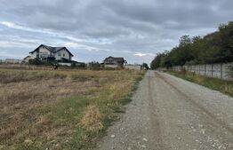 Teren extravilan , oportunitate de investiție, 604 mp, zona Carcea