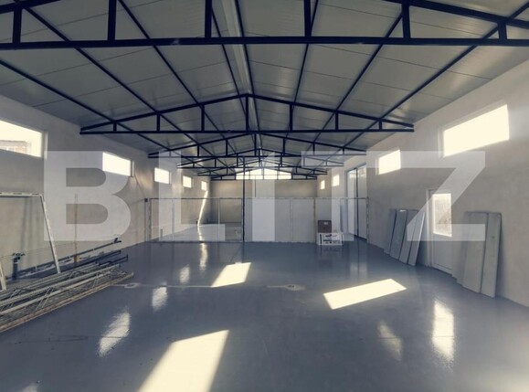 Spațiu industrial de închiriat Balta Verde - 149418SII | BLITZ Craiova | Poza5