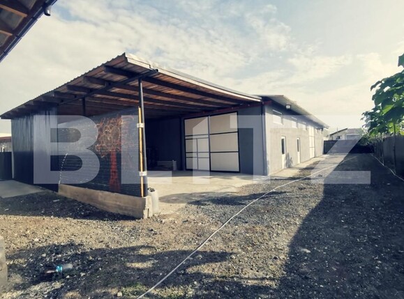 Spațiu industrial de închiriat Balta Verde - 149418SII | BLITZ Craiova | Poza1
