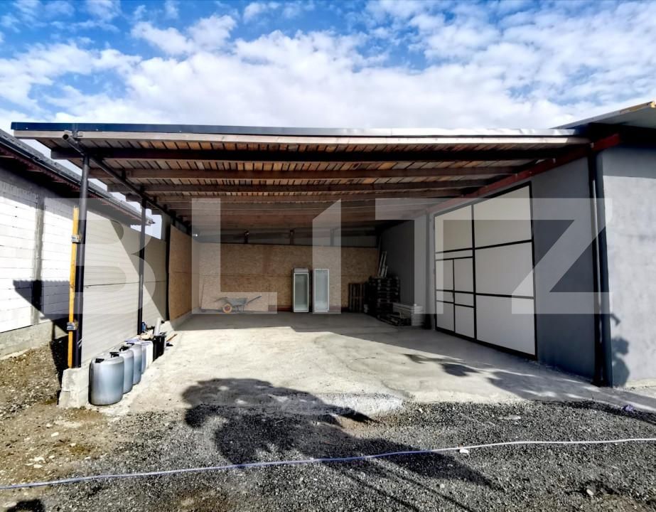 Spațiu industrial de închiriat Balta Verde - 149418SII | BLITZ Craiova | Poza2