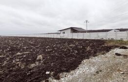 Teren intravilan 4926 mp, acces facil DE65, cu utilitati, zona Qfort!