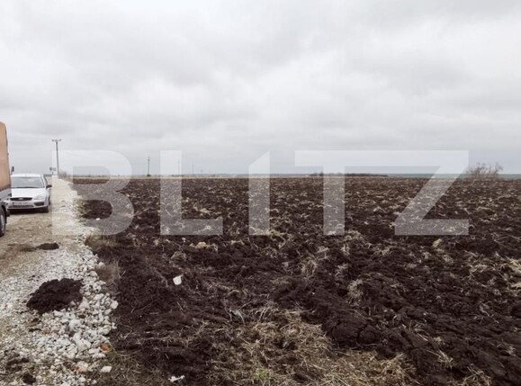 Teren de vânzare Pielești - 149419TV | BLITZ Craiova | Poza3