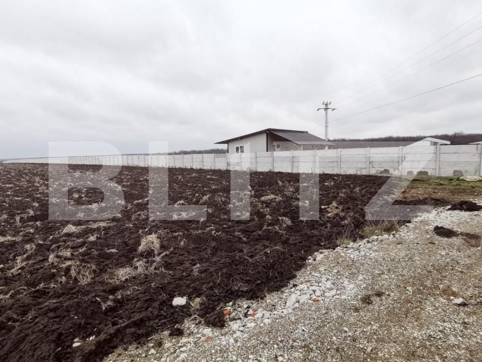 Teren de vânzare Pielești - 149419TV | BLITZ Craiova | Poza1