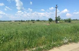 OPORTUNITATE INVESTIȚIE! TEREN 6670 mp, intravilan-industrial, zona Cârcea 