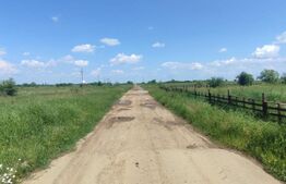 OPORTUNITATE INVESTIȚIE! TEREN 6670 mp, intravilan-industrial, zona Cârcea 