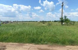 OPORTUNITATE INVESTIȚIE! TEREN 6670 mp, intravilan-industrial, zona Cârcea 