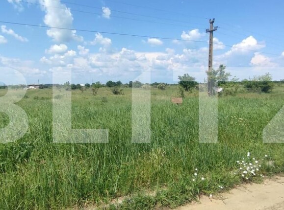 Teren de vânzare Carcea  - 149420TV | BLITZ Craiova | Poza4