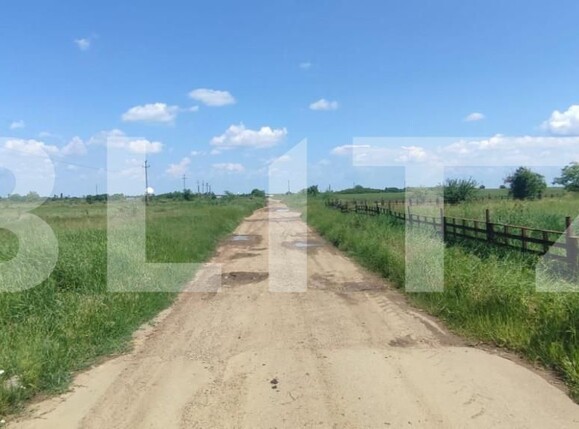 Teren de vânzare Carcea  - 149420TV | BLITZ Craiova | Poza2