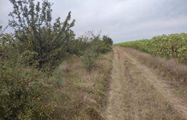 Teren 6291 mp, extravilan, zona Leamna de jos 