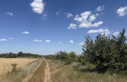 Teren 6291 mp, extravilan, zona Leamna de jos 