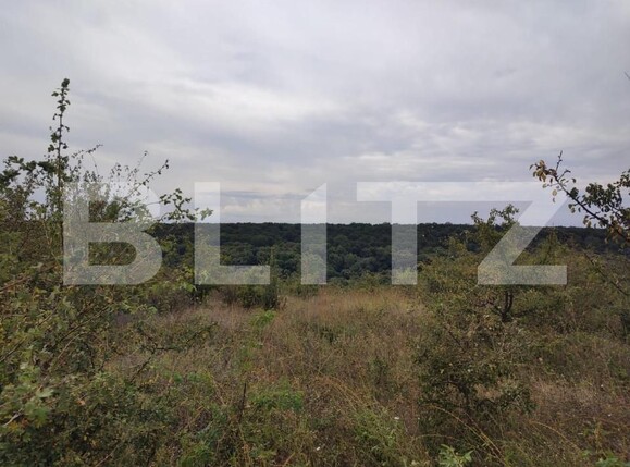 Teren de vânzare Leamna de Jos - 149432TV | BLITZ Craiova | Poza1