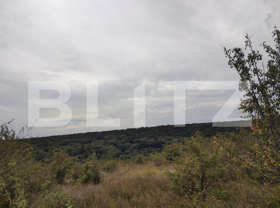 Teren de vânzare Leamna de Jos - 149432TV | BLITZ Craiova | Poza2