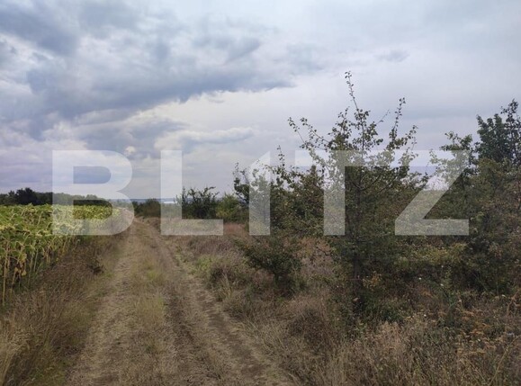 Teren de vânzare Leamna de Jos - 149432TV | BLITZ Craiova | Poza4