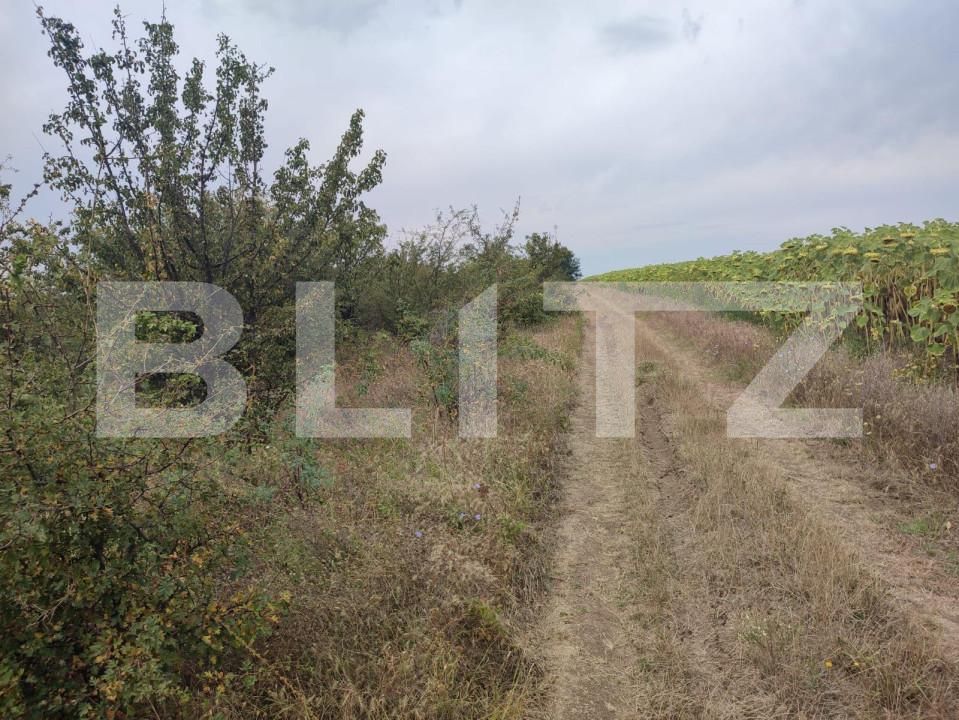 Teren de vânzare Leamna de Jos - 149432TV | BLITZ Craiova | Poza3