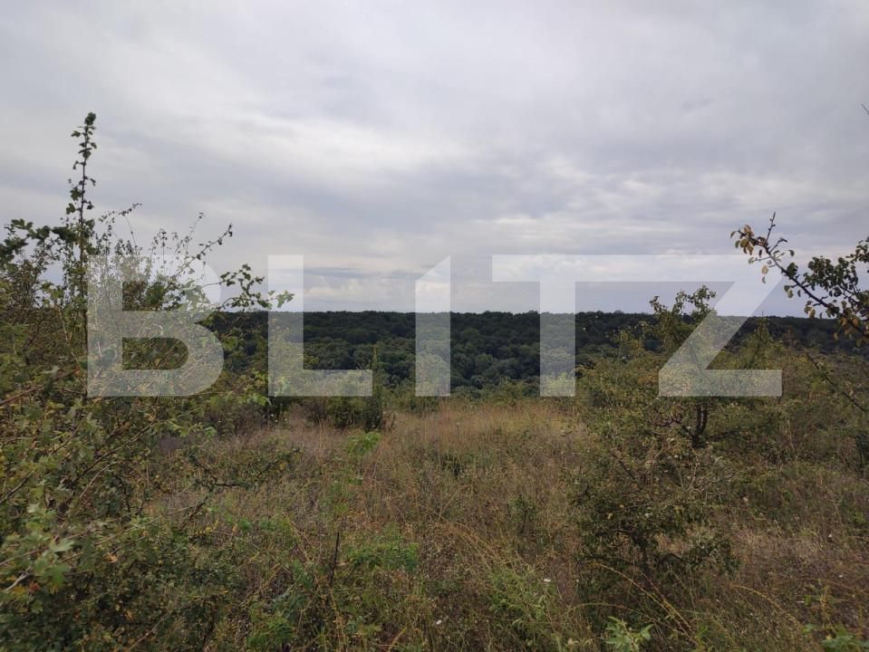 Teren de vânzare Leamna de Jos - 149432TV | BLITZ Craiova | Poza1