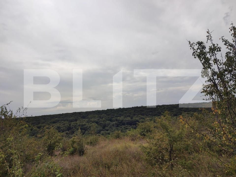 Teren de vânzare Leamna de Jos - 149432TV | BLITZ Craiova | Poza2