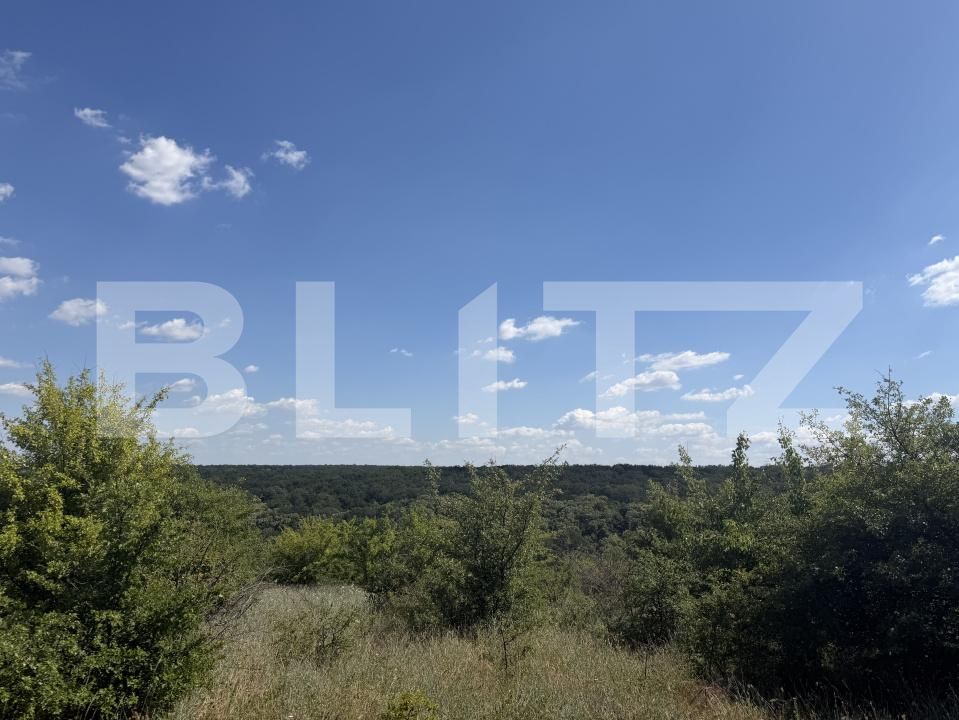 Teren de vânzare Leamna de Jos - 149432TV | BLITZ Craiova | Poza3