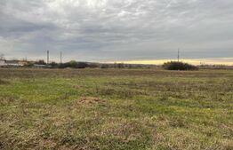 Teren intravilan Balta Verde (Podari) 2192 mp