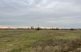 Teren intravilan Balta Verde (Podari) 2192 mp