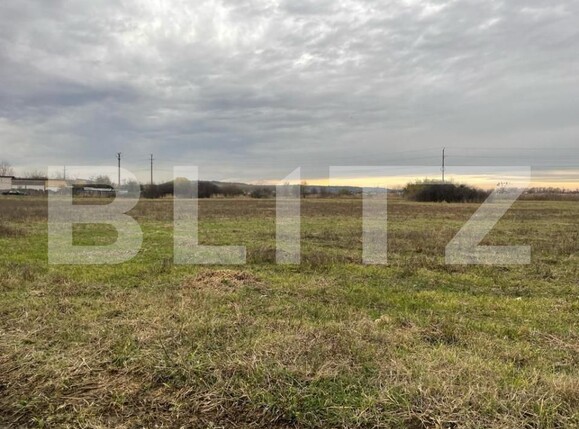 Teren de vânzare Balta Verde - 149437TV | BLITZ Craiova | Poza1