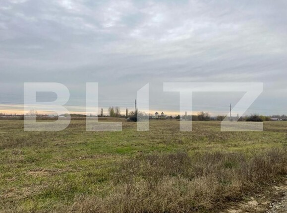 Teren de vânzare Balta Verde - 149437TV | BLITZ Craiova | Poza2