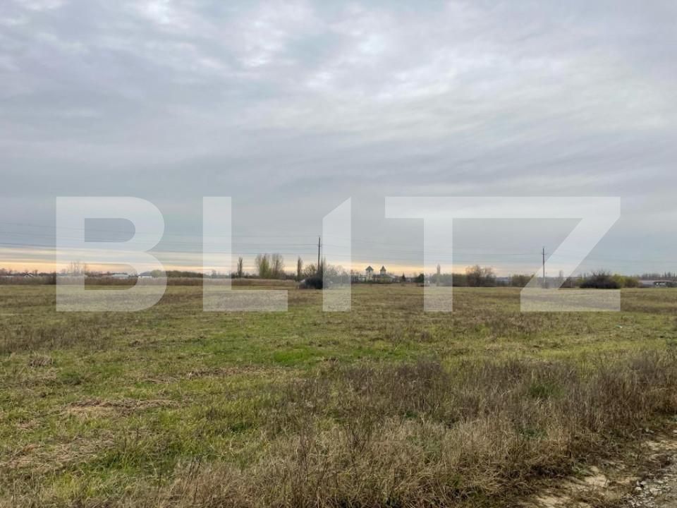 Teren de vânzare Balta Verde - 149437TV | BLITZ Craiova | Poza2