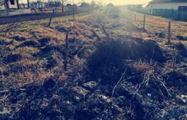 Teren intravilan stradal,1275 mp in Preajba!