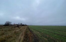 Teren intravilan industrial, 41.000 mp, front 117 m, Ișalnița - DE70