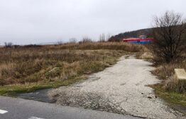 Teren intravilan industrial, 41.000 mp, front 117 m, Ișalnița - DE70