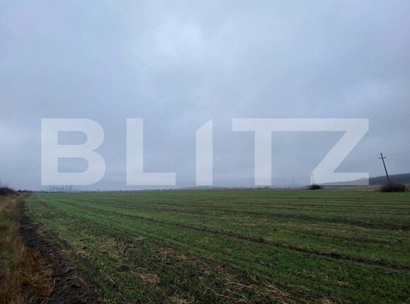 Teren de vânzare Isalnita - 149443TV | BLITZ Craiova | Poza8