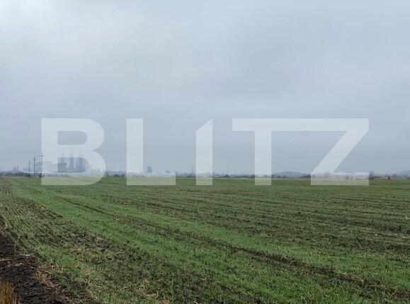 Teren de vânzare Isalnita - 149443TV | BLITZ Craiova | Poza4