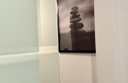 Garsoniera, 32mp, zona strada Spania