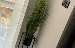 Garsoniera, 32mp, zona strada Spania