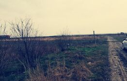 Teren intravilan 2424 mp, in Carcea langa centura sud!