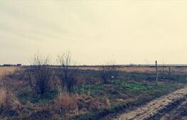 Teren intravilan 2424 mp, in Carcea langa centura sud!