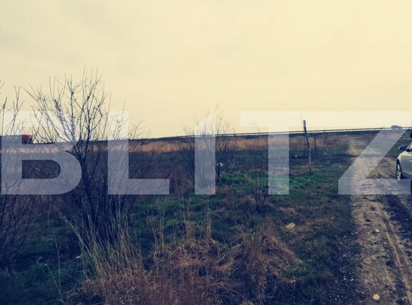 Teren de vânzare Carcea  - 149693TV | BLITZ Craiova | Poza3