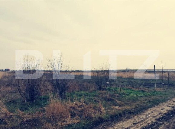 Teren de vânzare Carcea  - 149693TV | BLITZ Craiova | Poza2